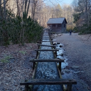 Photo of Hinton Risk Management