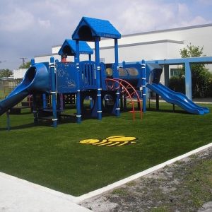 Photo of Synthetic Turf Internaltional