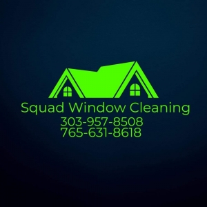 Photo of Squad Window Cleaning