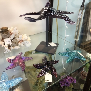 Photo of The Sterling Seahorse
