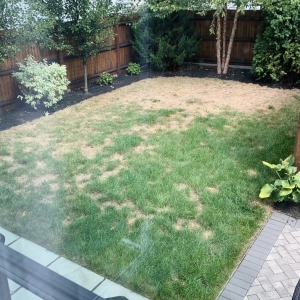 Photo of J Luna Landscaping Service