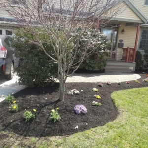 Photo of J Luna Landscaping Service