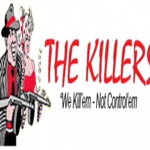 Photo of The Killers Crawl Space Restoration
