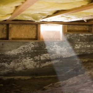 Photo of The Killers Crawl Space Restoration