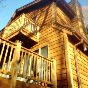 Photo of Cedar Treatment Services