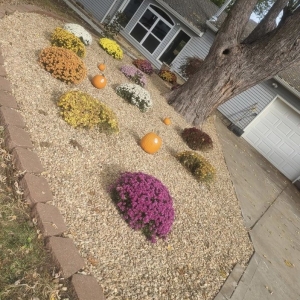 Photo of Betts Girls Lawn Care