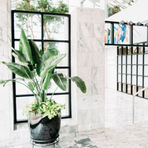 Photo of Interior Plantscapes