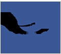 Photo of Deemtech Software Pvt Ltd