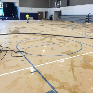 Photo of All Dry Water Damage Experts