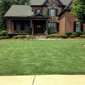 Photo of JCL Turf Pro & Landscape