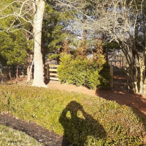 Photo of J.Earp Landscape & Lawn