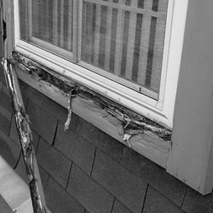 Photo of Aruba Window Repair and Home Improvement