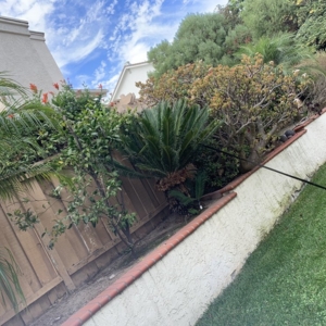 Photo of San Diego Roof Doctor