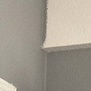 Photo of Craftsman Paint and Remodel