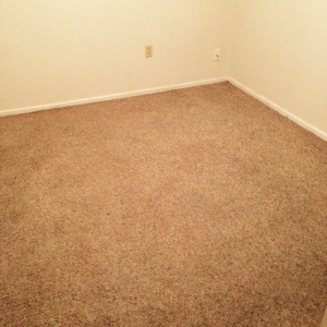 Photo of Oxi Fresh Carpet Cleaning