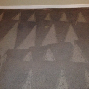 Photo of Oxi Fresh Carpet Cleaning