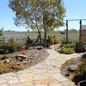Loveland Green Revolution Landscaping