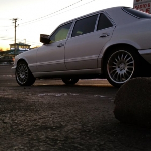 Photo of Tint Max