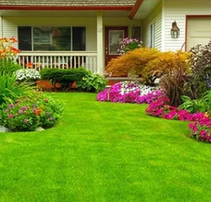 Photo of D & M Landscape and Construction