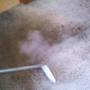 Westerville Procare Carpet Cleaning