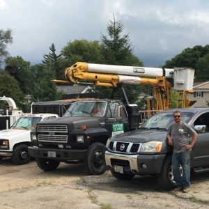 Photo of Sutton Tree Experts
