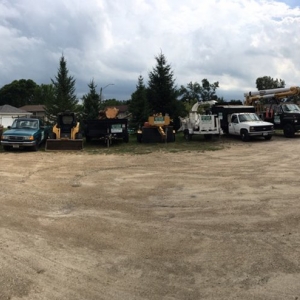 Photo of Sutton Tree Experts