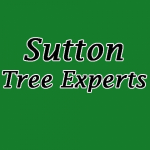 Photo of Sutton Tree Experts