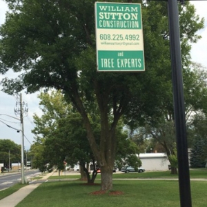 Photo of Sutton Tree Experts