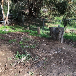 Photo of Moy's Landscaping