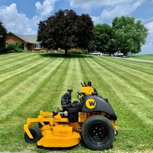Photo of Proper Lawn Care