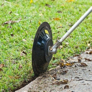 Photo of Proper Lawn Care
