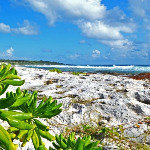 Photo of Forte Mente
