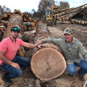 Photo of American Woodland Trading