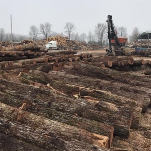 Photo of American Woodland Trading