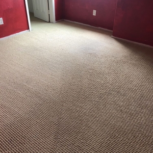 Photo of Pro Clean Carpet Care & Water Damage