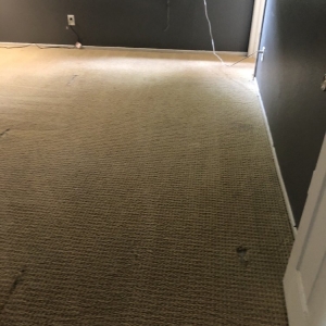 Photo of Pro Clean Carpet Care & Water Damage