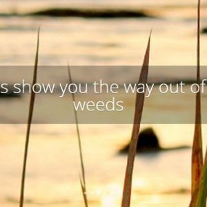 Photo of We Spark Growth