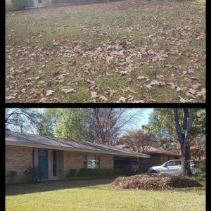 Photo of Loyal Landscaping