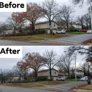 Photo of Loyal Landscaping