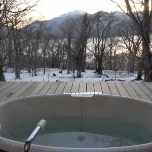 Photo of Adonis Spa and Hot Tub Service