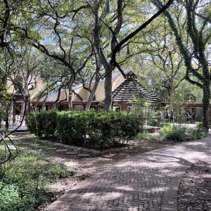 Photo of Los Patios