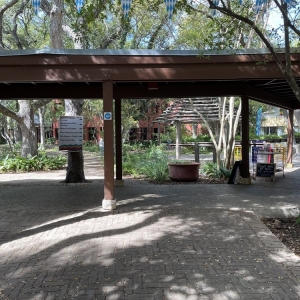 Photo of Los Patios