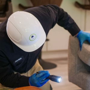 Photo of Issaquah Pest Control