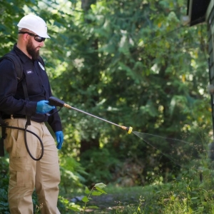 Photo of Issaquah Pest Control