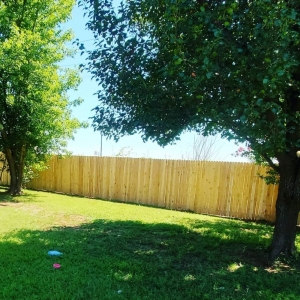 Photo of Backwoods Property Solutions