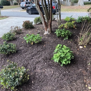 Photo of Precise Landscape and Irrigation Solutions