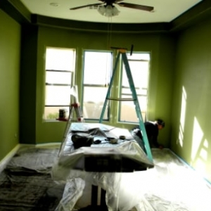 Photo of Silver Desert Handyman