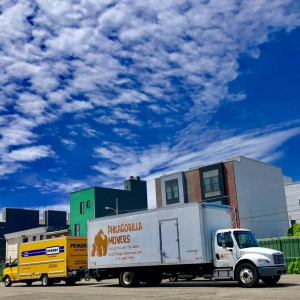Photo of PhilaGorilla Movers