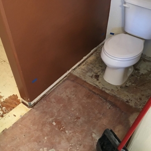 Photo of Disaster Services Apache Junction