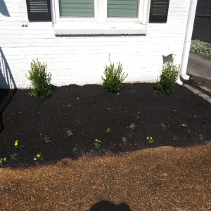 Photo of Joe's LawnCare and Landscaping Solutions
